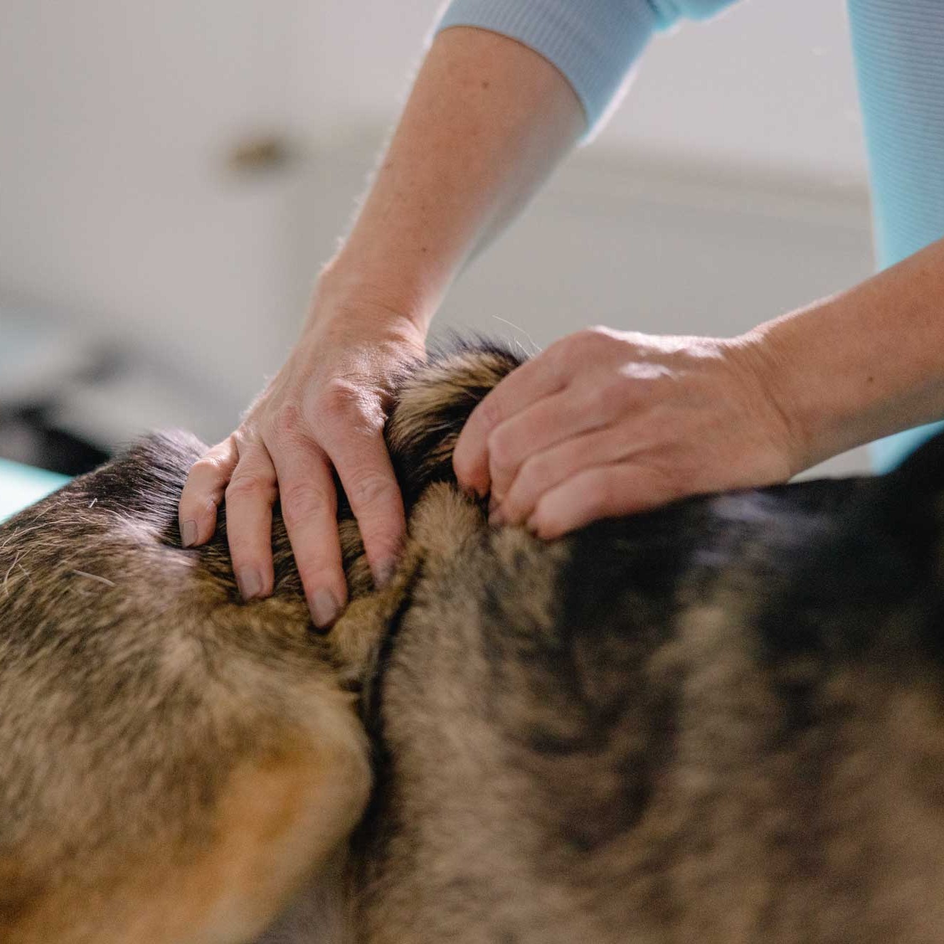 Klassische Massage