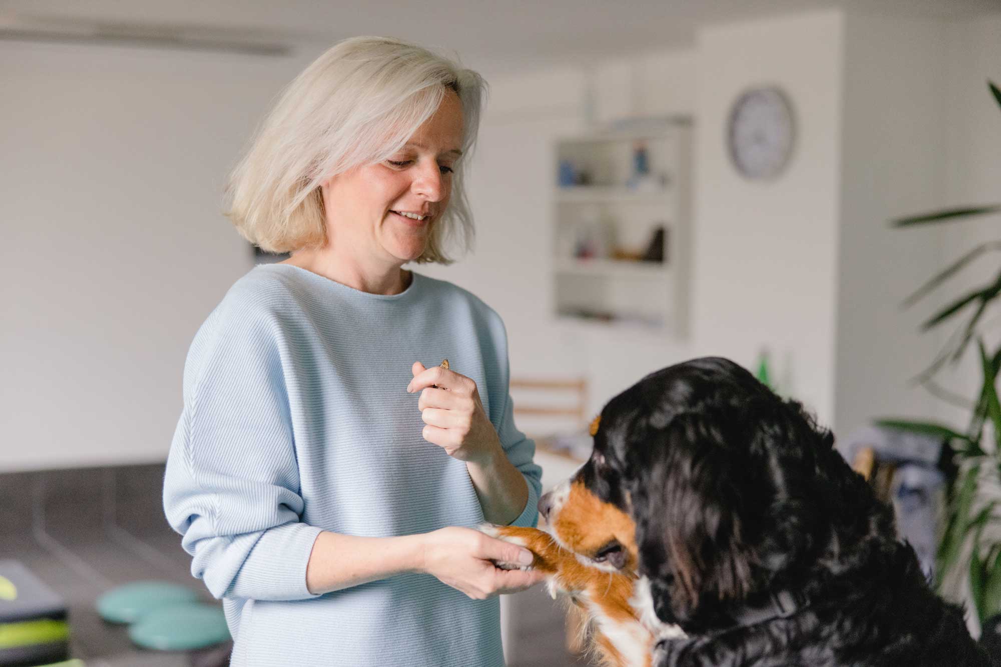 Physio für Ihren Hund in Waldbröl