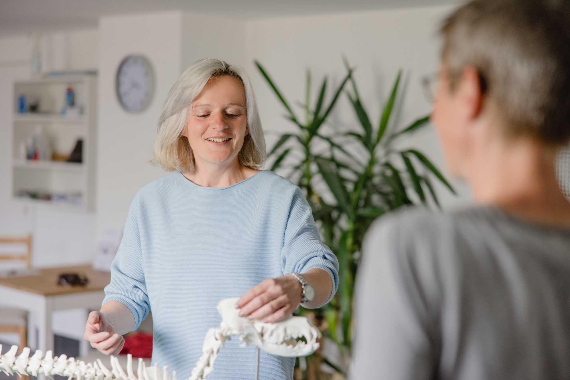 Hunde-Physiotherapie in Waldbröl