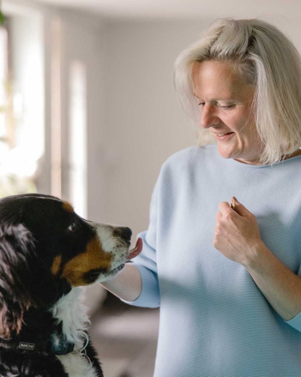 Physiotherapie Hund