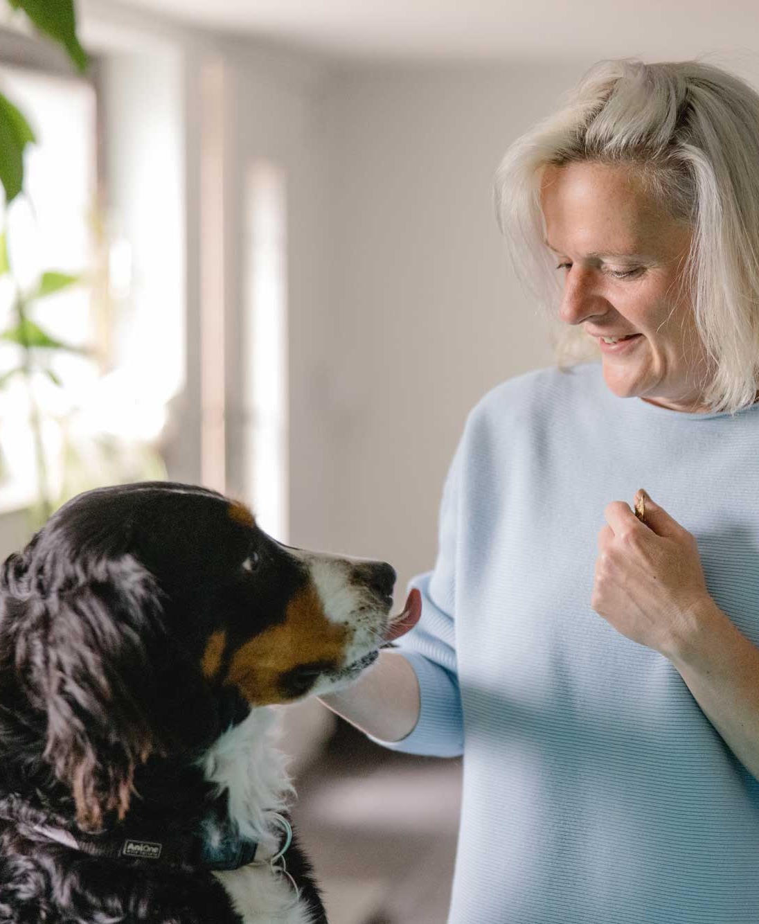 Hunde-Physio in Waldbröl